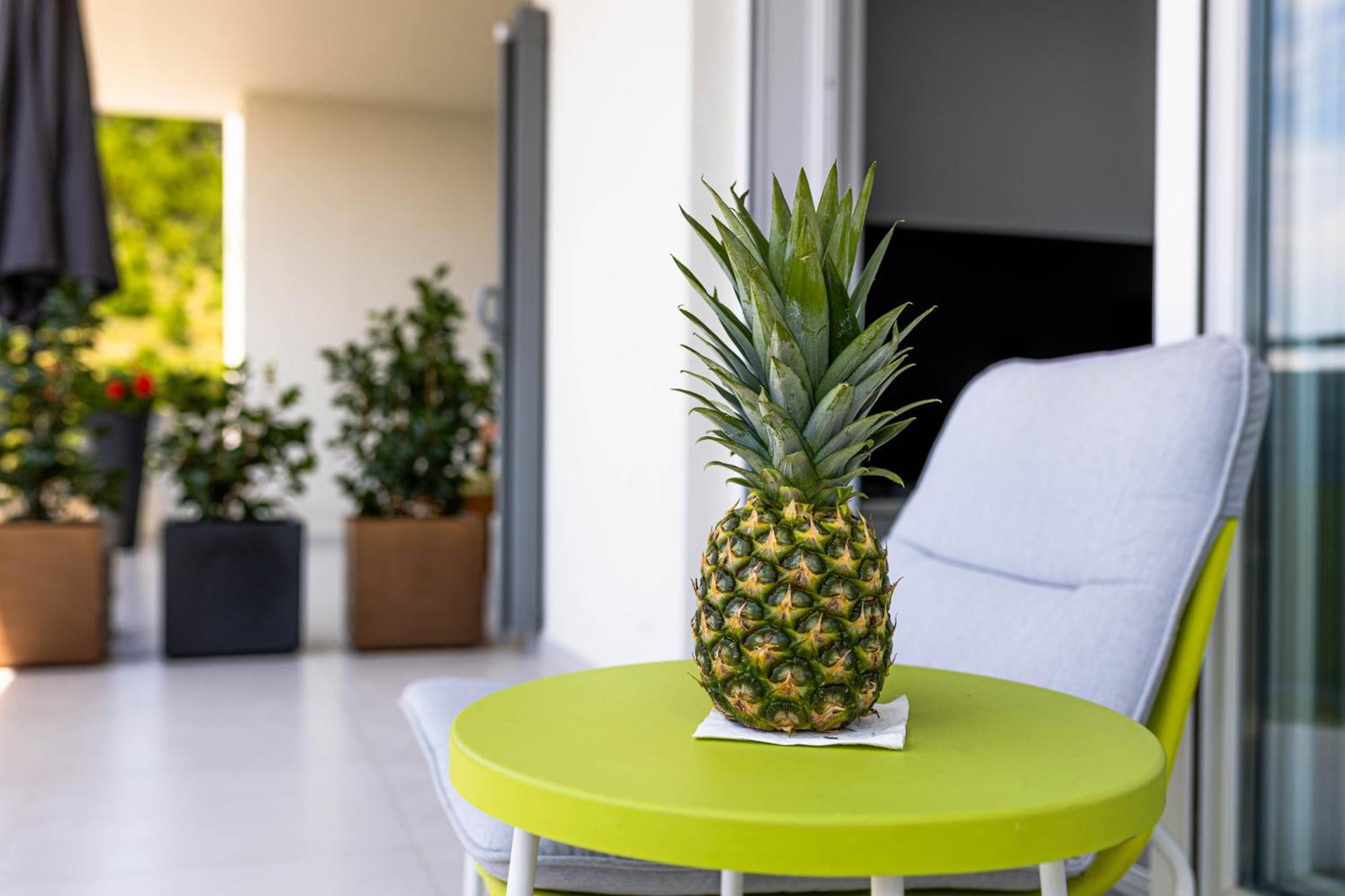 Sunshine House With Free Parking Apartment Makarska
